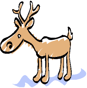 image d'un cerf