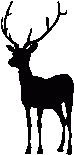 image d'un cerf