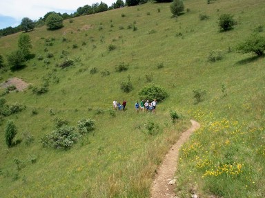 randonnée très sportive avec joëlette, Vosges, 2003