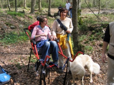 Randonnée sportive avec joëlettes, Solwaster 2005