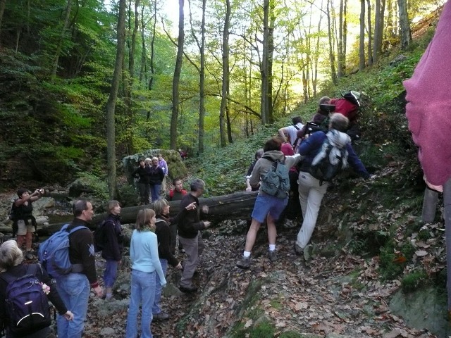 Randonnées très sportives avec joëlettes dans le Ninglinspo en 2007