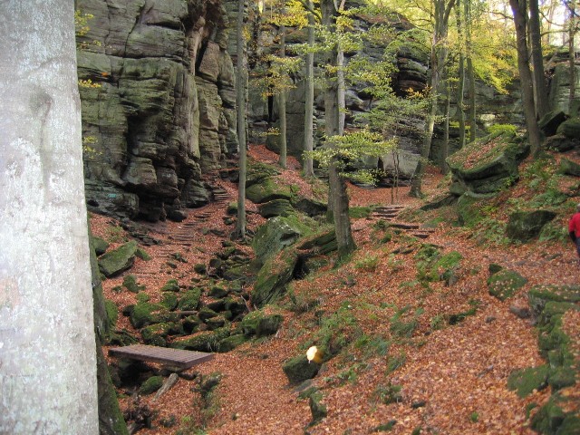 Randonnées sportives avec joëlettes en Petite Suisse luxembourgeoise en 2007