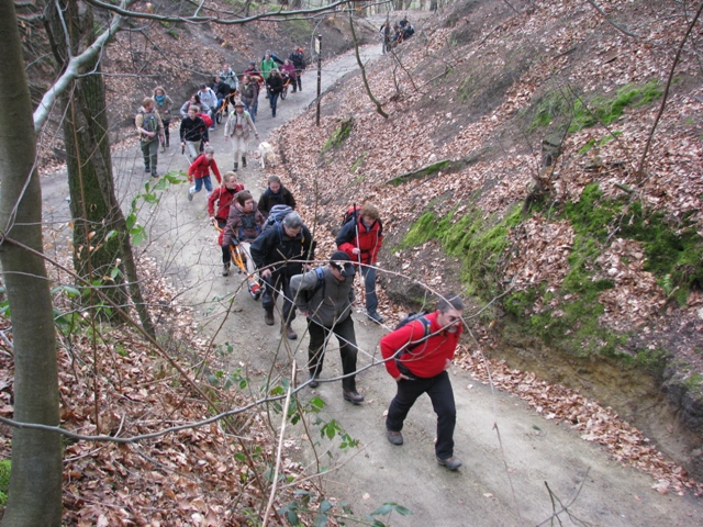 randonnée sportive avec joëlettes, Louvain-la-Neuve, 2011