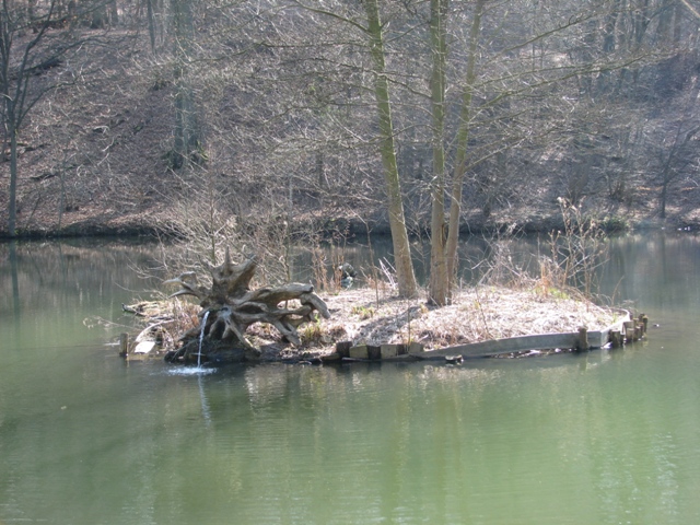 randonnée sportive avec joëlettes, Louvain-la-Neuve, 2011