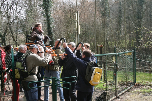 Randonnée sportive avec joëlettes, Louvain-la-Neuve, 2011