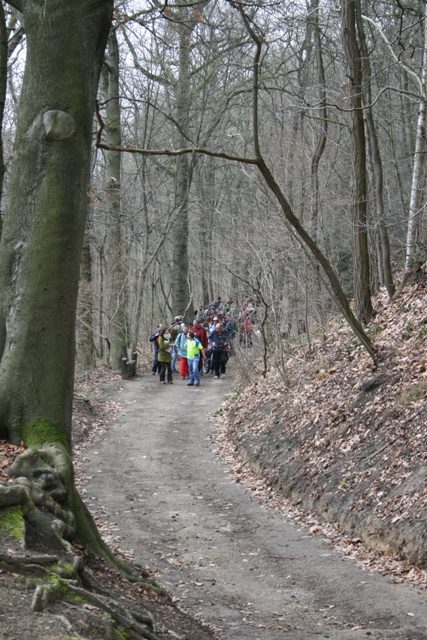 Randonnée sportive avec joëlettes, Louvain-la-Neuve, 2011