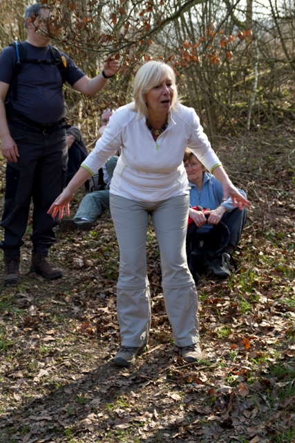 Randonnée sportive avec joëlettes, Bure, 2011