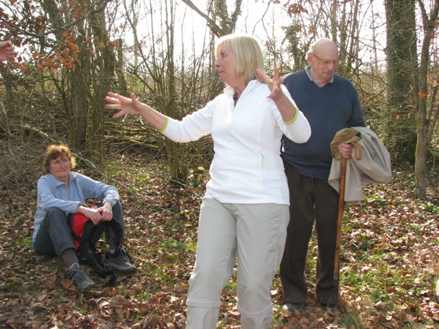 Randonnée sportive avec joëlettes, Bure, 2011