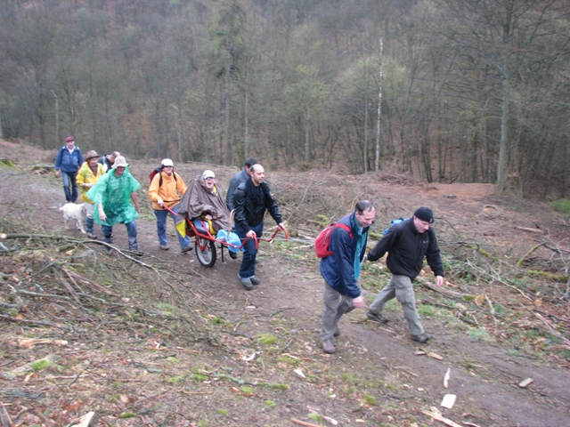 Randonnée sportive avec joëlettes, le Ninglinspo, 2011