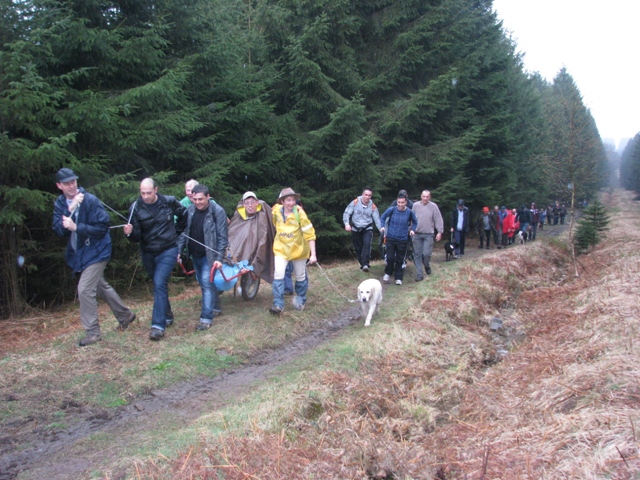 Randonnée sportive avec joëlettes, le Ninglinspo, 2011