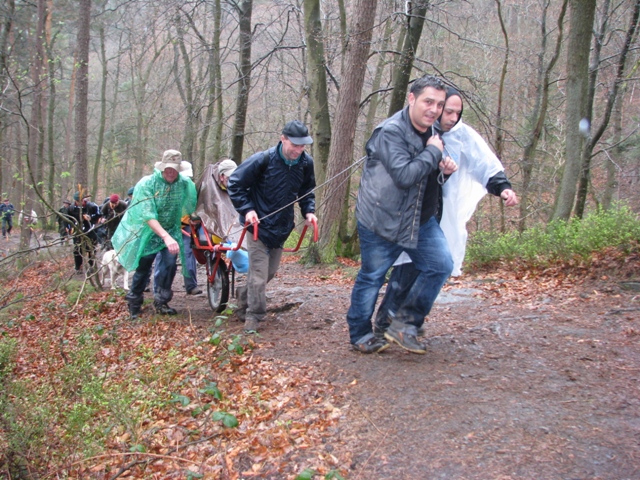 Randonnée sportive avec joëlettes, le Ninglinspo, 2011