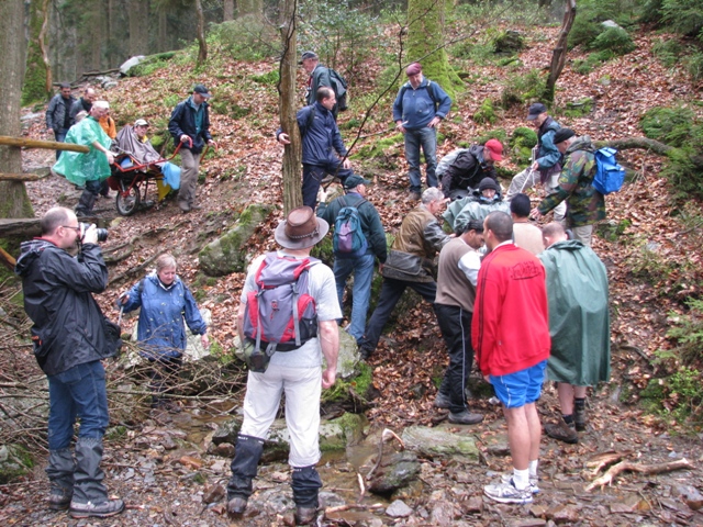 Randonnée sportive avec joëlettes, le Ninglinspo, 2011