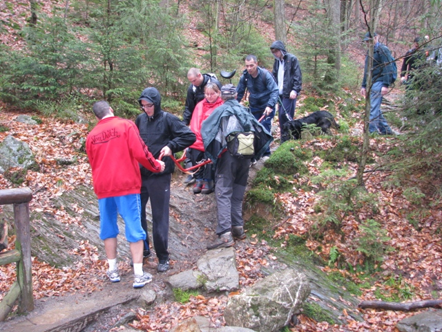 Randonnée sportive avec joëlettes, le Ninglinspo, 2011