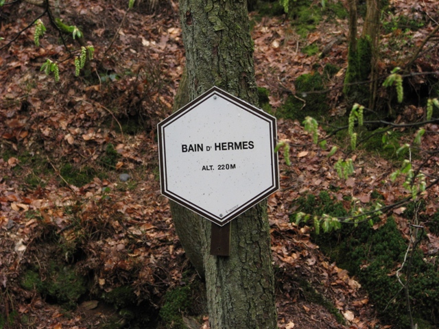 Randonnée sportive avec joëlettes, le Ninglinspo, 2011