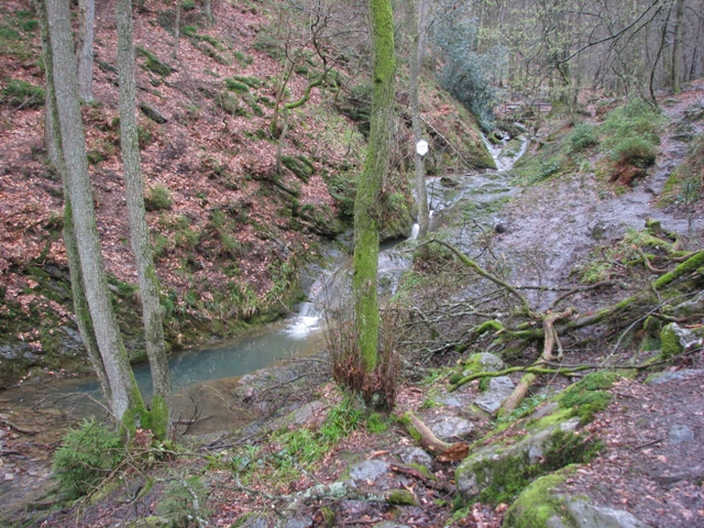 Randonnée sportive avec joëlettes, le Ninglinspo, 2011