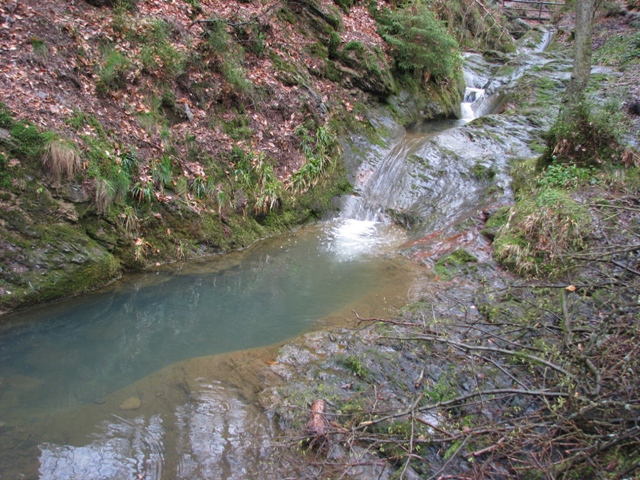 Randonnée sportive avec joëlettes, le Ninglinspo, 2011