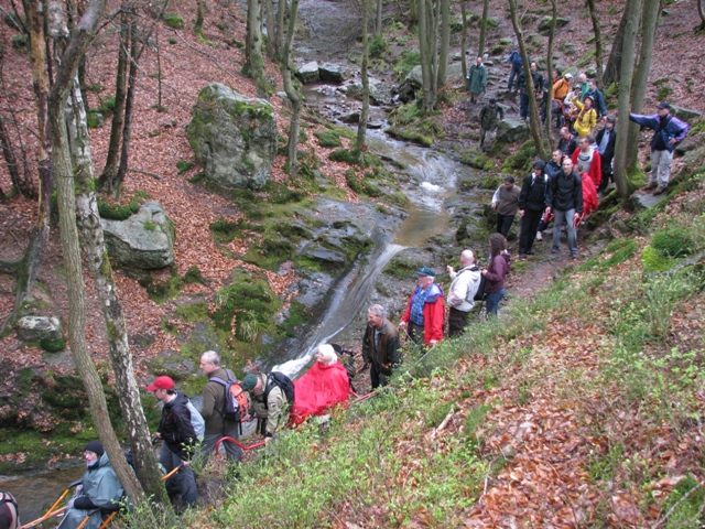 Randonnée sportive avec joëlettes, le Ninglinspo, 2011