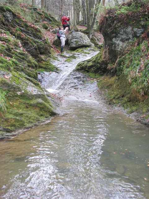 Randonnée sportive avec joëlettes, le Ninglinspo, 2011