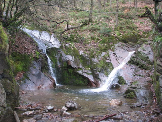 Randonnée sportive avec joëlettes, le Ninglinspo, 2011