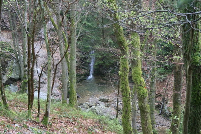 Randonnée sportive avec joëlettes, le Ninglinspo, 2011