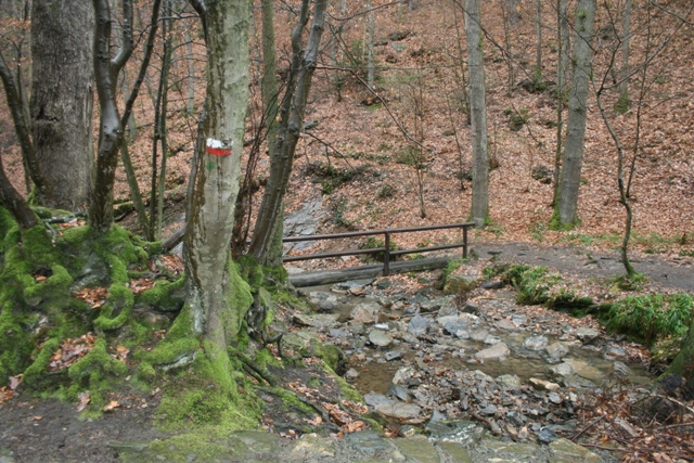 Randonnée sportive avec joëlettes, le Ninglinspo, 2011