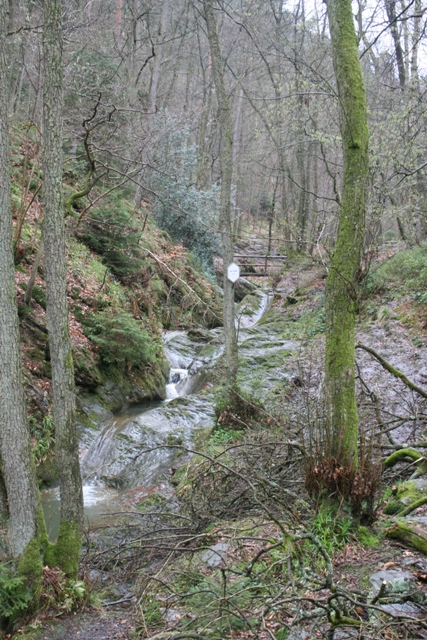 Randonnée sportive avec joëlettes, le Ninglinspo, 2011