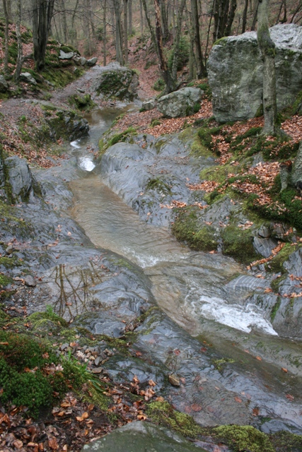 Randonnée sportive avec joëlettes, le Ninglinspo, 2011