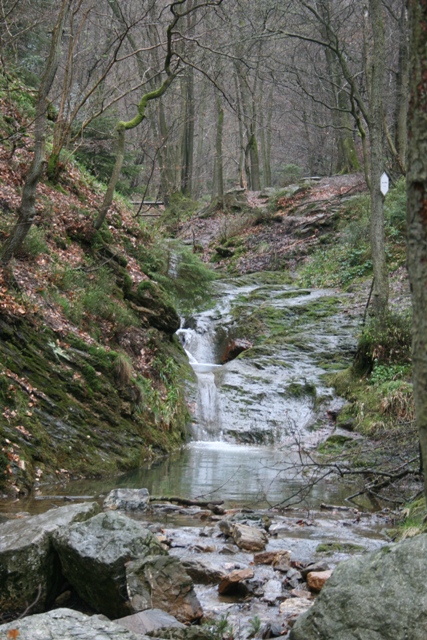 Randonnée sportive avec joëlettes, le Ninglinspo, 2011