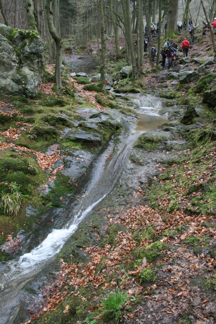 Randonnée sportive avec joëlettes, le Ninglinspo, 2011