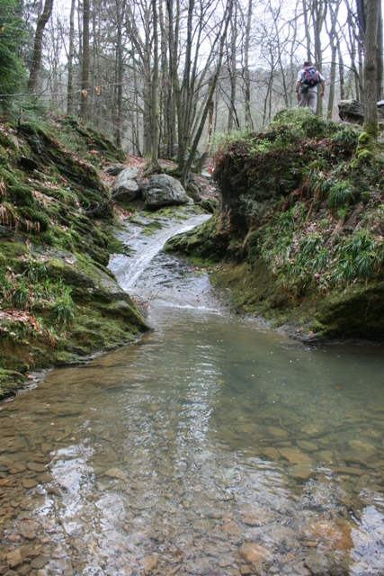 Randonnée sportive avec joëlettes, le Ninglinspo, 2011