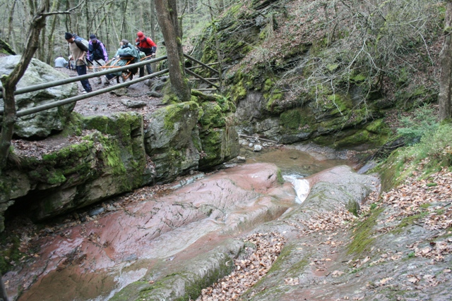 Randonnée sportive avec joëlettes, le Ninglinspo, 2011