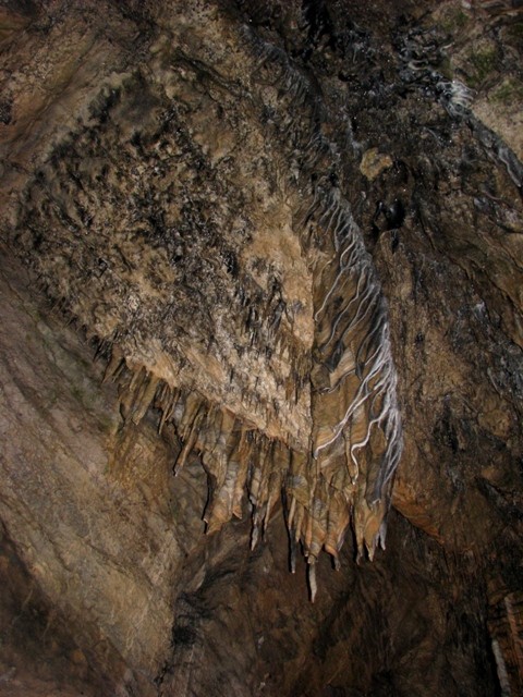 randonnée avec joëlettes, Han-sur-Lesse, 2011