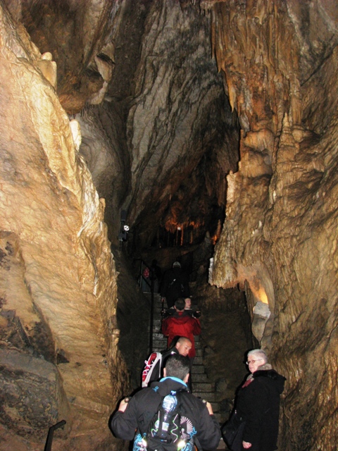 randonnée avec joëlettes, Han-sur-Lesse, 2011