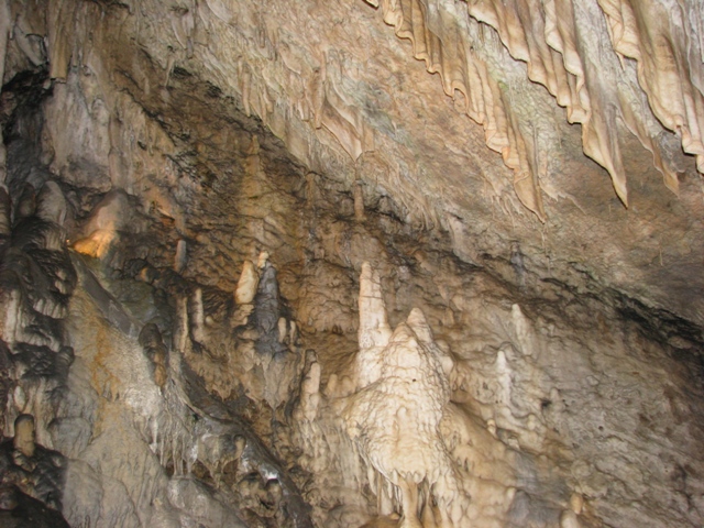 randonnée avec joëlettes, Han-sur-Lesse, 2011