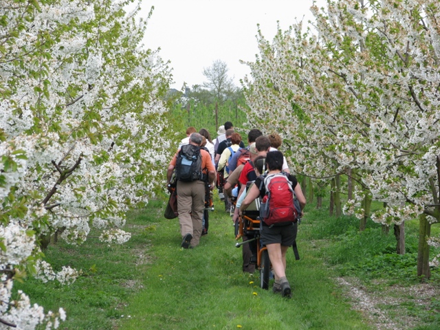 randonnée avec joëlettes, Zoutleeuw, 2011