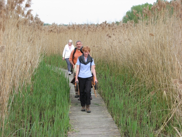 randonnée avec joëlettes, Zoutleeuw, 2011