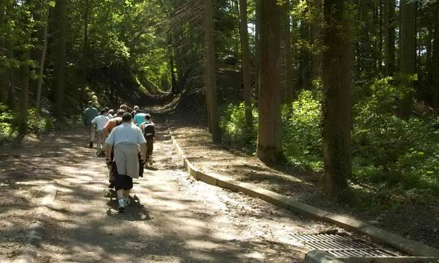 Randonnée sportive avec joëlettes, Villers-la-Ville, 2011