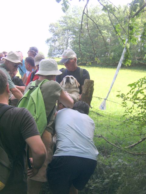 Randonnée sportive avec joëlettes, Trooz, 2011