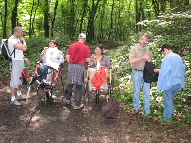 Randonnée sportive avec joëlettes, Marneffe, 2011