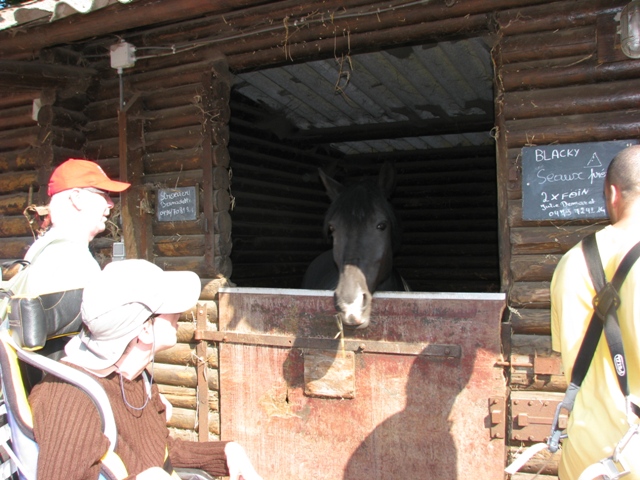 Randonnée sportive avec joëlettes, Tilff, 2011