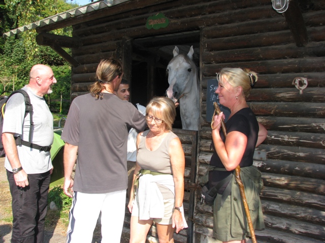 Randonnée sportive avec joëlettes, Tilff, 2011