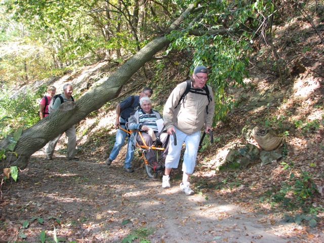 Randonnée sportive avec joëlettes, Malonne, 2011