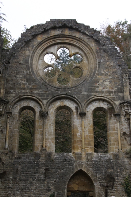 randonnée avec joëlettes, Torgny,  2011