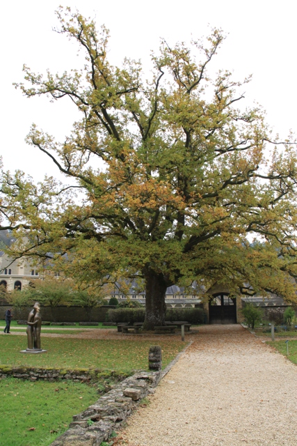 randonnée avec joëlettes, Torgny,  2011