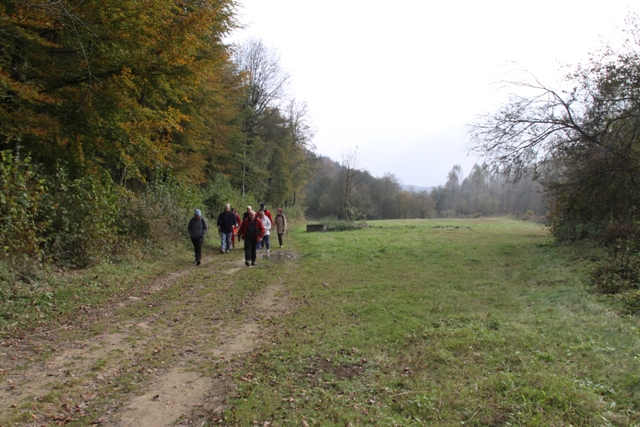 randonnée avec joëlettes, Torgny,  2011