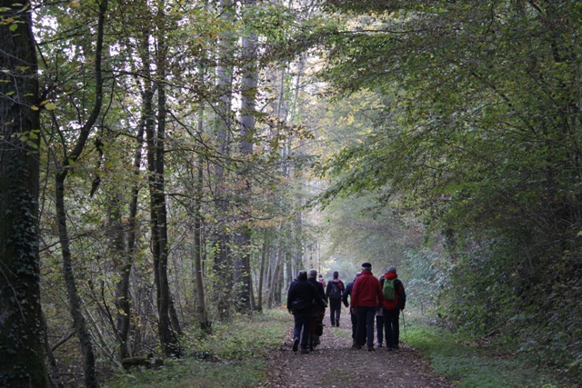 randonnée avec joëlettes, Torgny,  2011