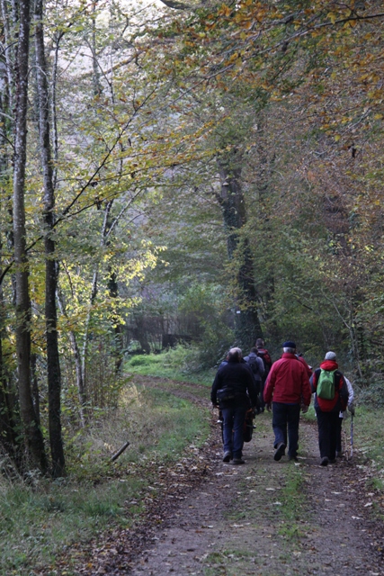 randonnée avec joëlettes, Torgny,  2011