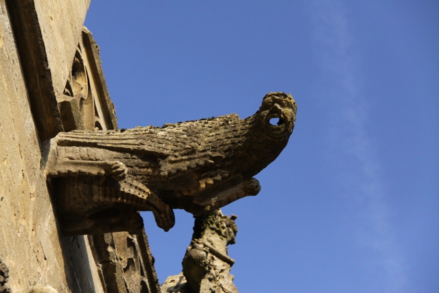 randonnée avec joëlettes, Torgny,  2011