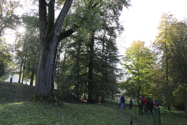 randonnée avec joëlettes, Torgny,  2011