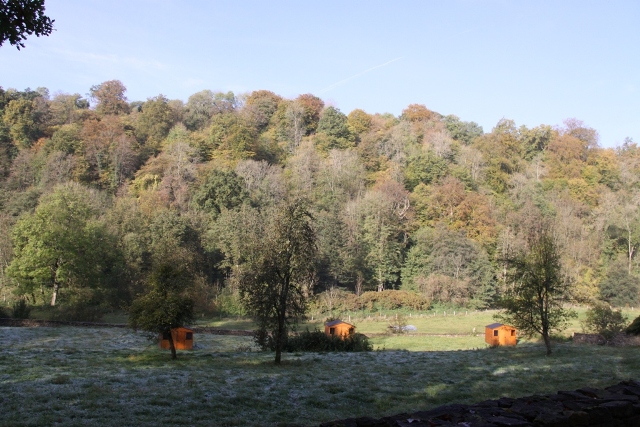 randonnée avec joëlettes, Torgny,  2011